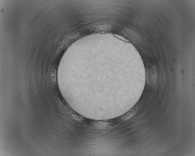 X0000062890718200602101741