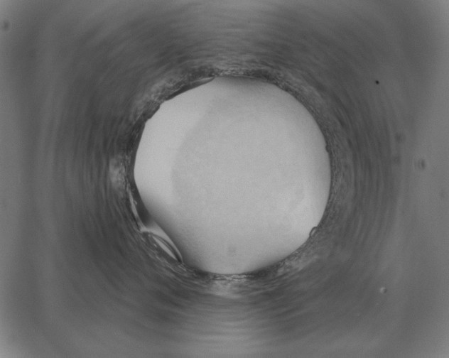 X0000062890720200602101741