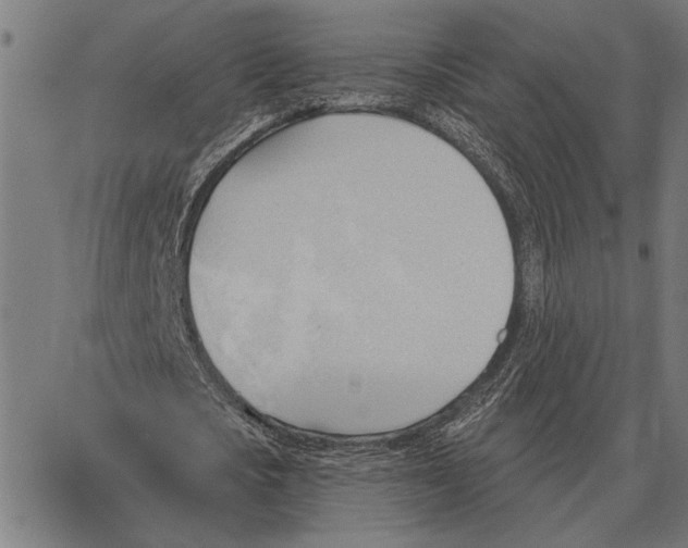 X0000062890721200602101740