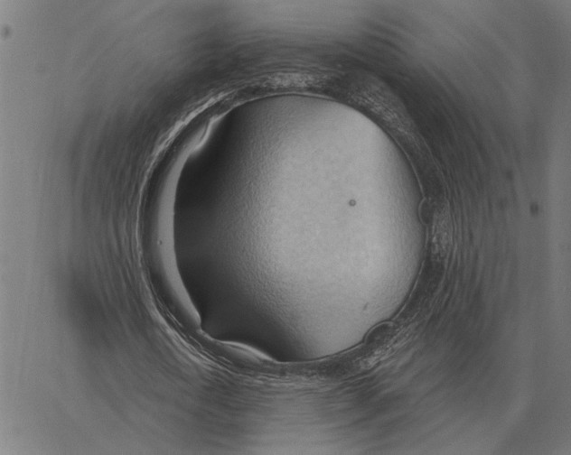 X0000062890722200602101740