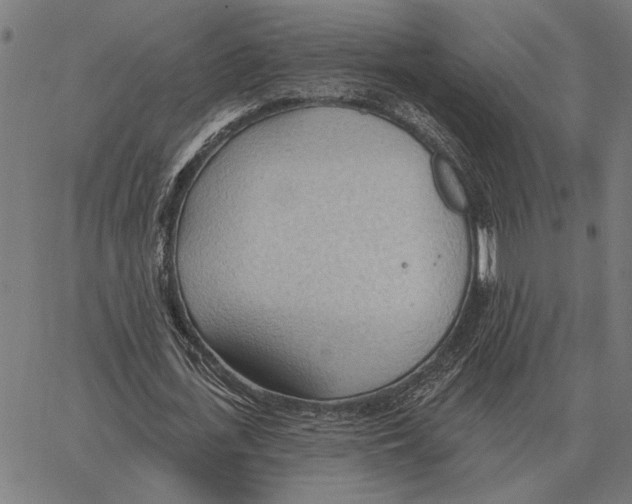 X0000062890723200602101740