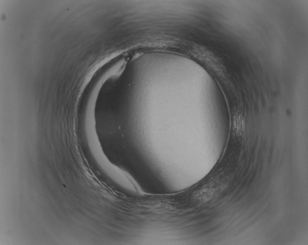 X0000062890724200602101740