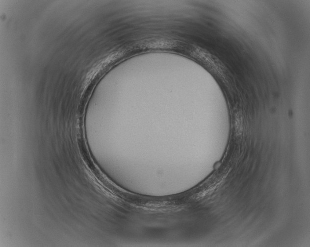 X0000062890725200602101740