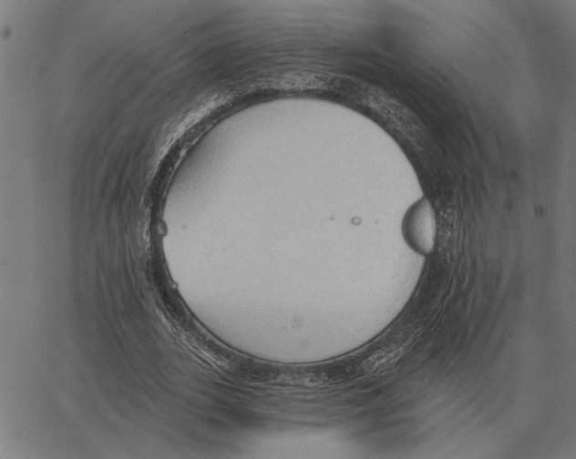 X0000062890727200602101740