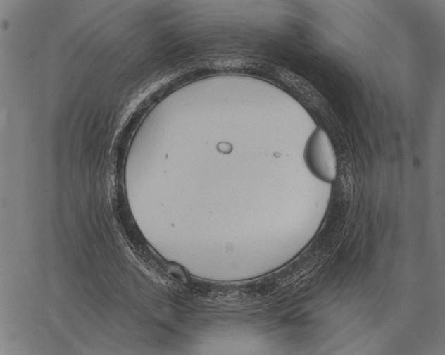 X0000062890728200602101740