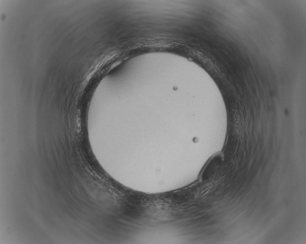 X0000062890731200602101740