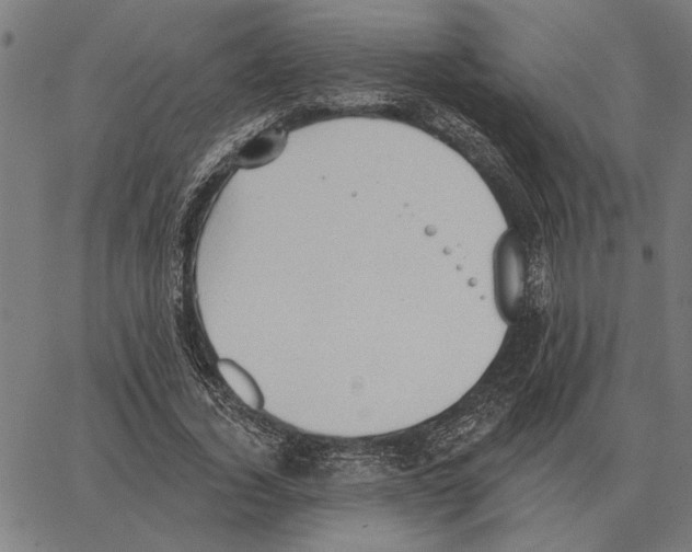 X0000062890732200602101740