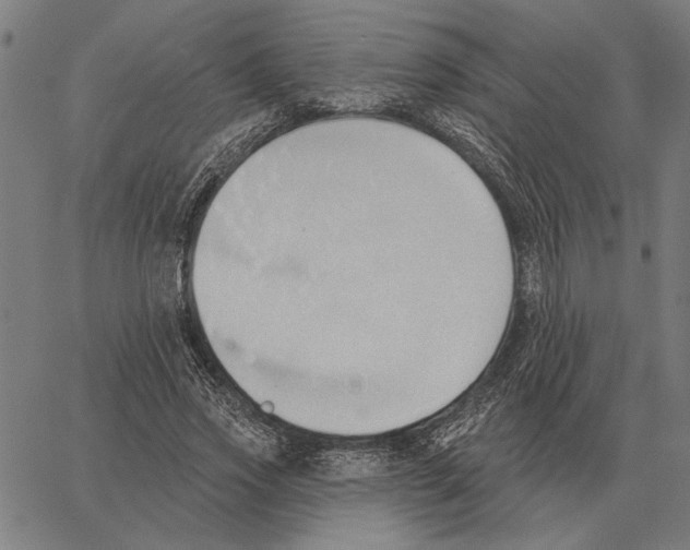 X0000062890733200602101740