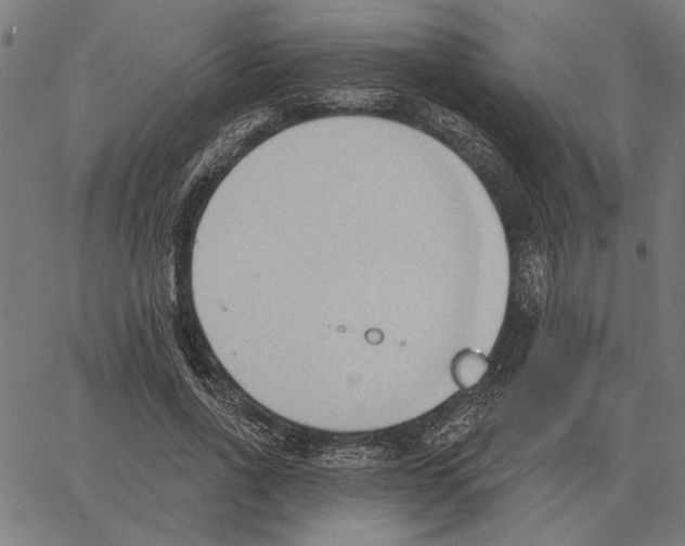 X0000062890734200602101741