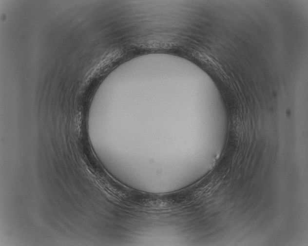 X0000062890735200602101741