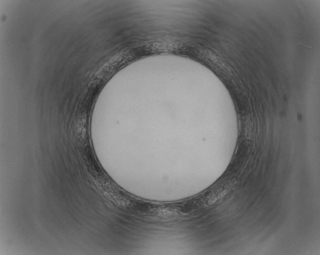 X0000062890737200602101741