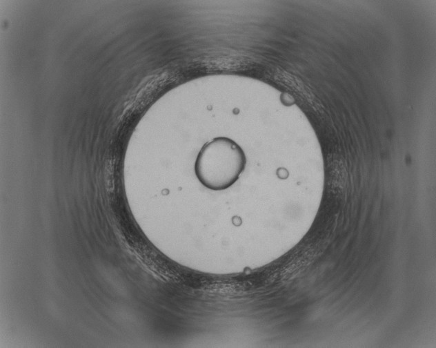 X0000062890738200602101741