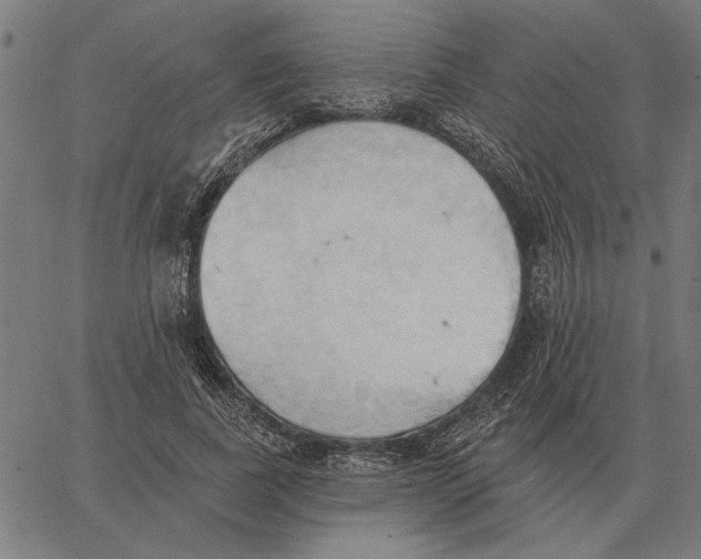 X0000062890739200602101741