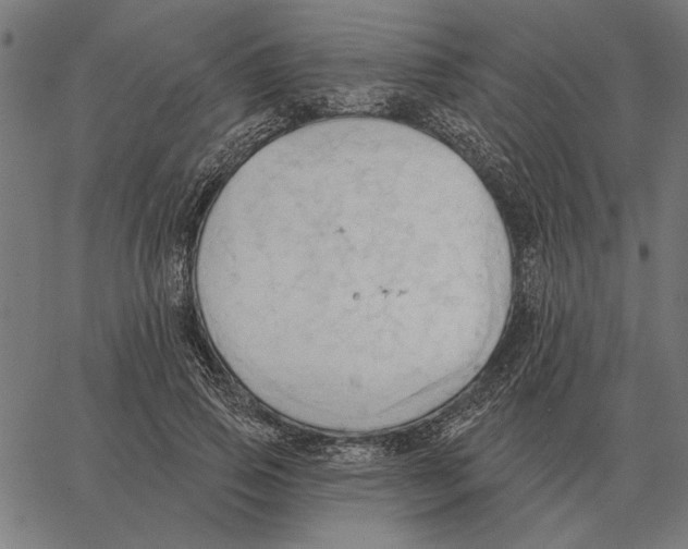 X0000062890741200602101741