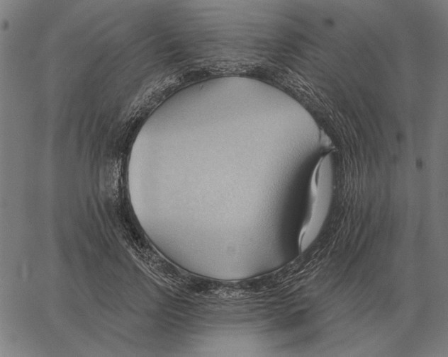 X0000062890742200602101741