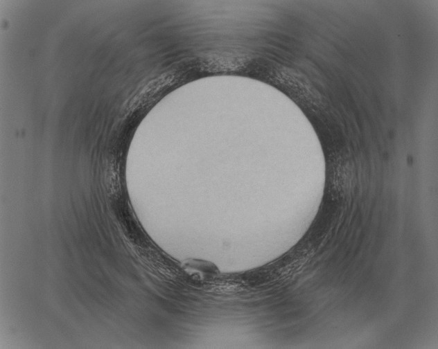 X0000062890743200602101741