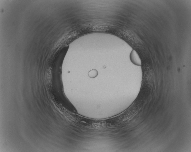 X0000062890744200602101741