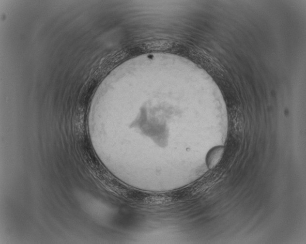 X0000062890745200602101741