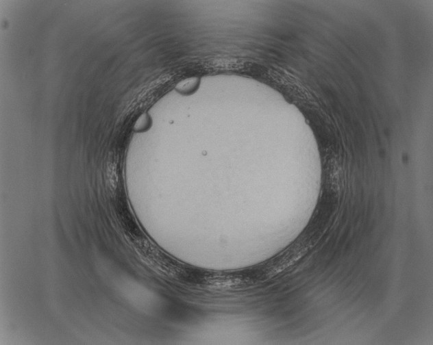 X0000062890746200602101741