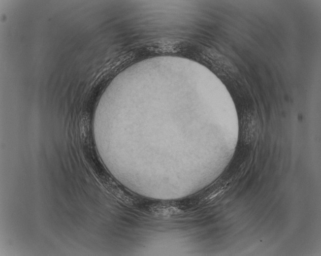 X0000062890747200602101741