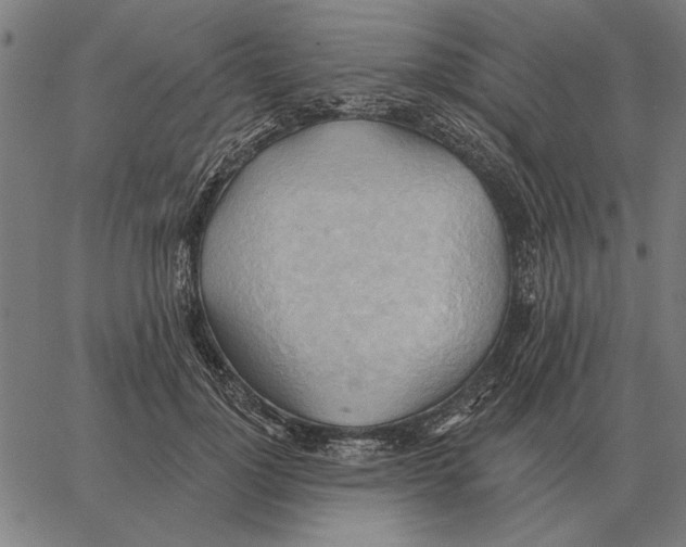 X0000062890748200602101741