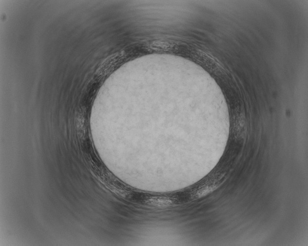 X0000062890749200602101741