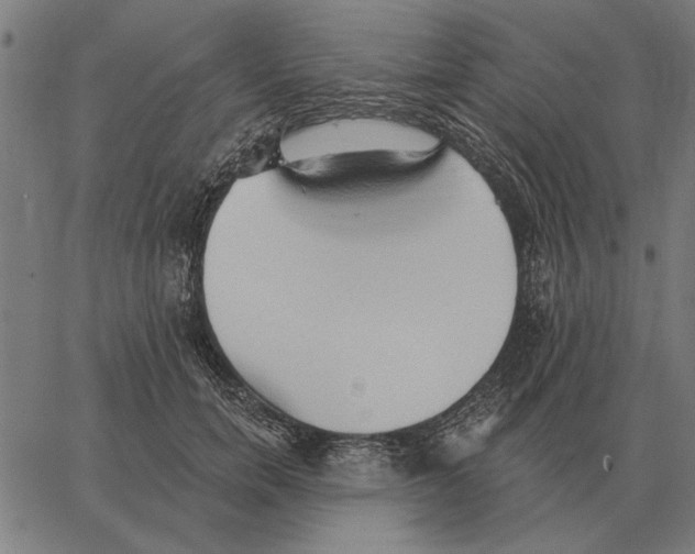 X0000062890750200602101741