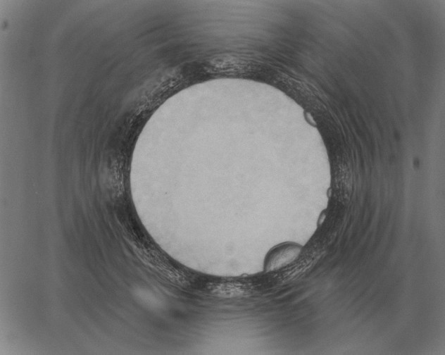 X0000062890751200602101741