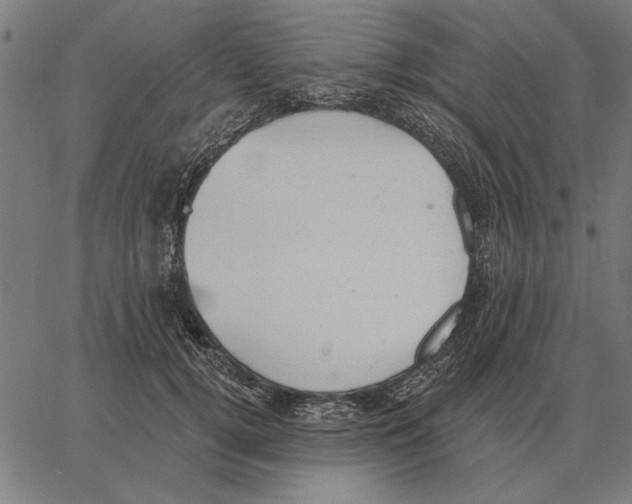 X0000062890752200602101741