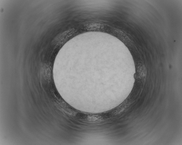 X0000062890753200602101741