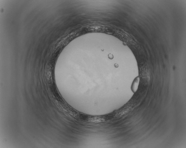 X0000062890754200602101741