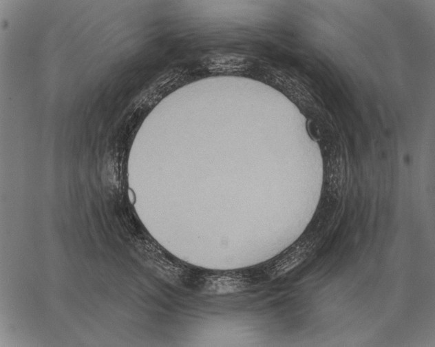 X0000062890755200602101741