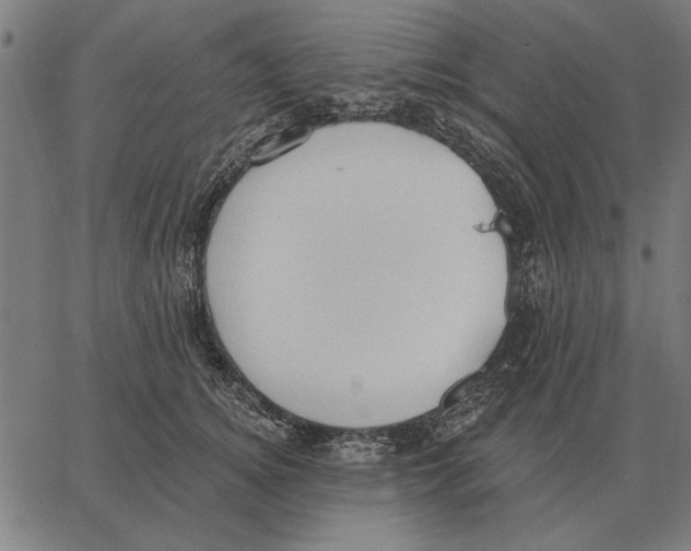 X0000062890756200602101741