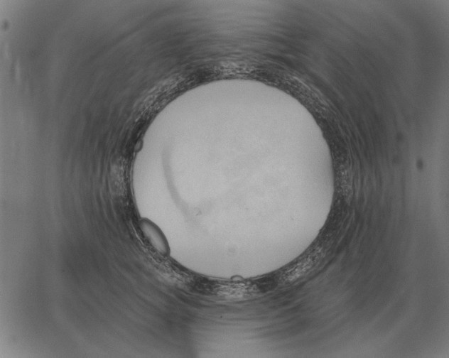 X0000062890757200602101741