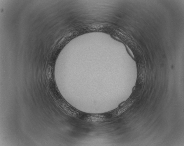 X0000062890758200602101741