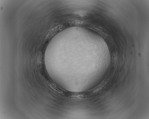 X0000062890760200602101741