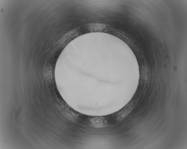 X0000062890761200602101741