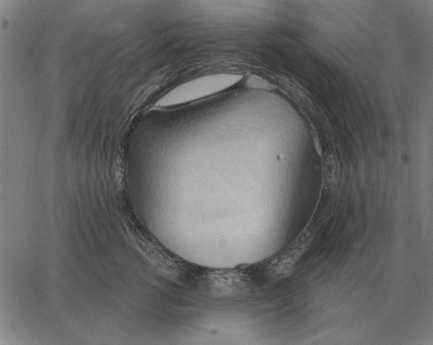 X0000062890762200602101741