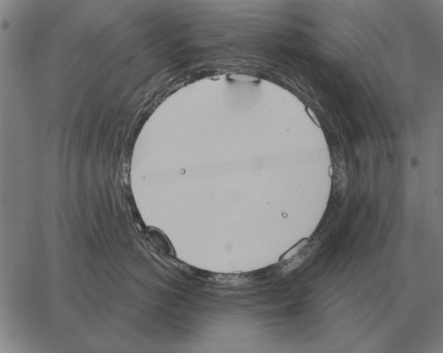 X0000062890766200602101741