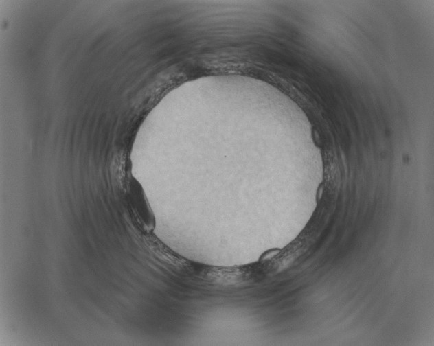 X0000062890767200602101741