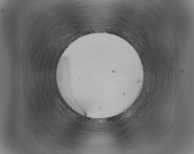 X0000062890768200602101741