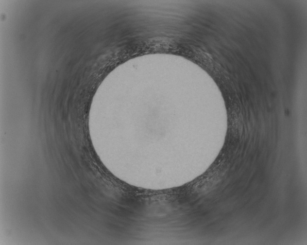 X0000062890769200602101740