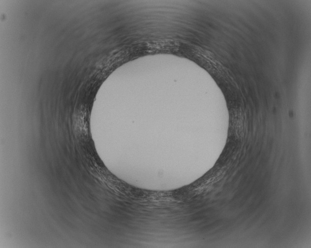 X0000062890770200602101740