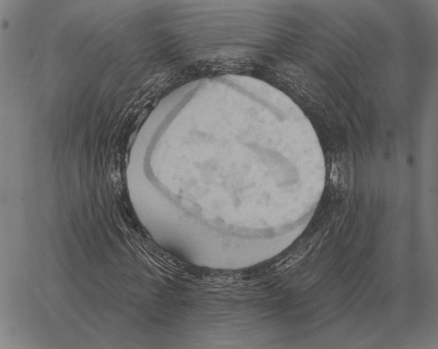 X0000062890771200602101740