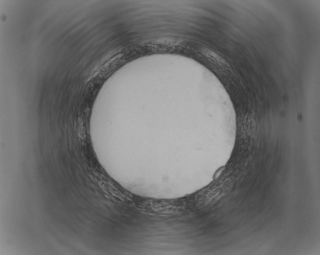 X0000062890774200602101740