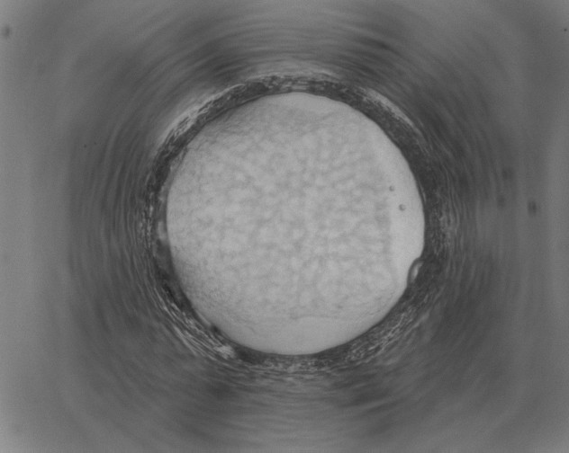 X0000062890775200602101740