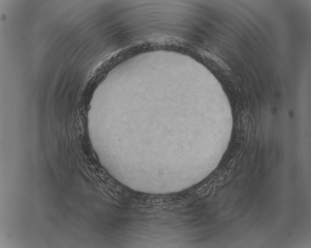 X0000062890776200602101740