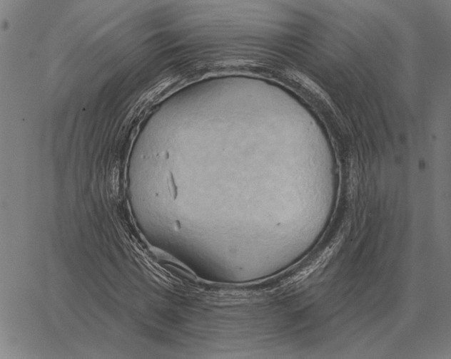 X0000062890777200602101740