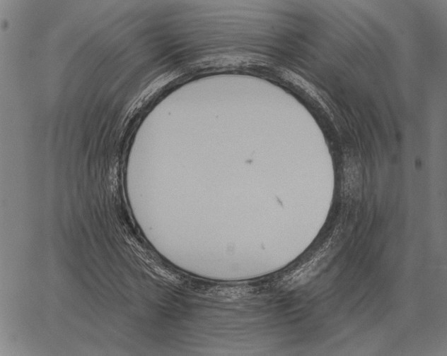 X0000062890778200602101740