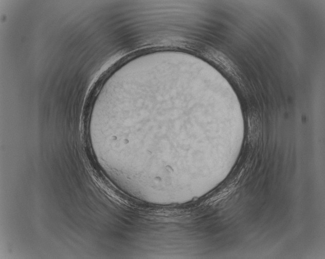 X0000062890780200602101740